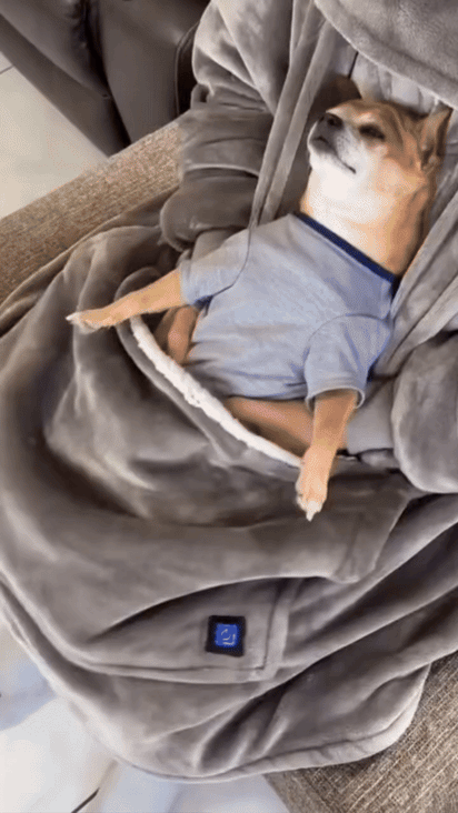 ToastieWear™ Cozy Heated Hoodie