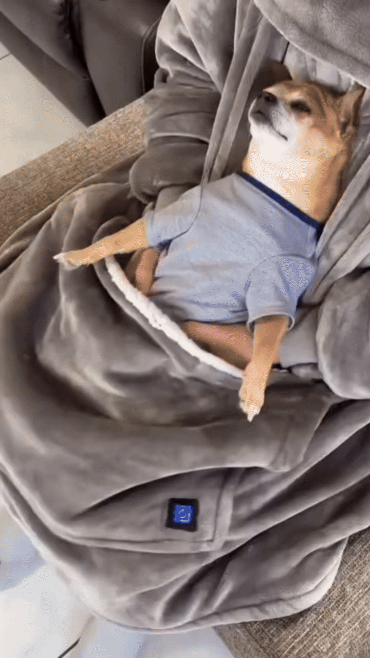 ToastieWear™ Cozy Heated Hoodie